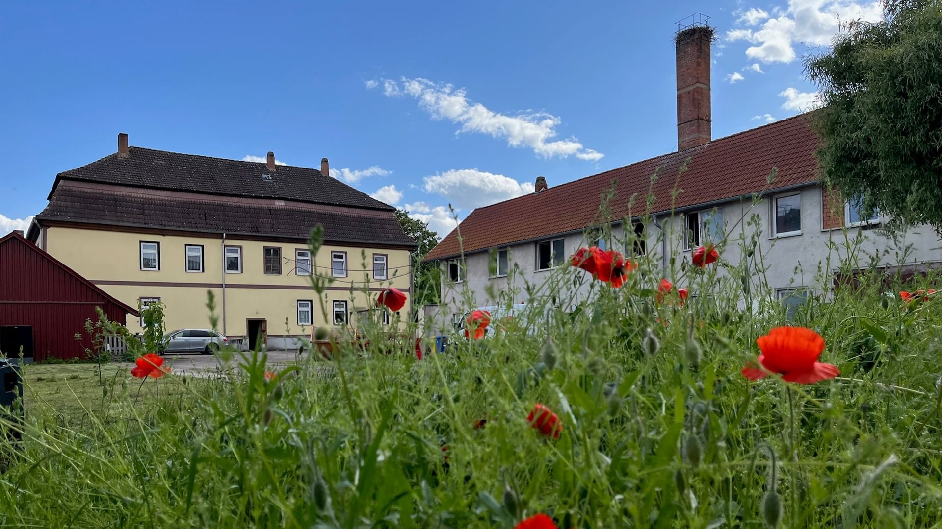 Fotoquelle: Gert Scholl