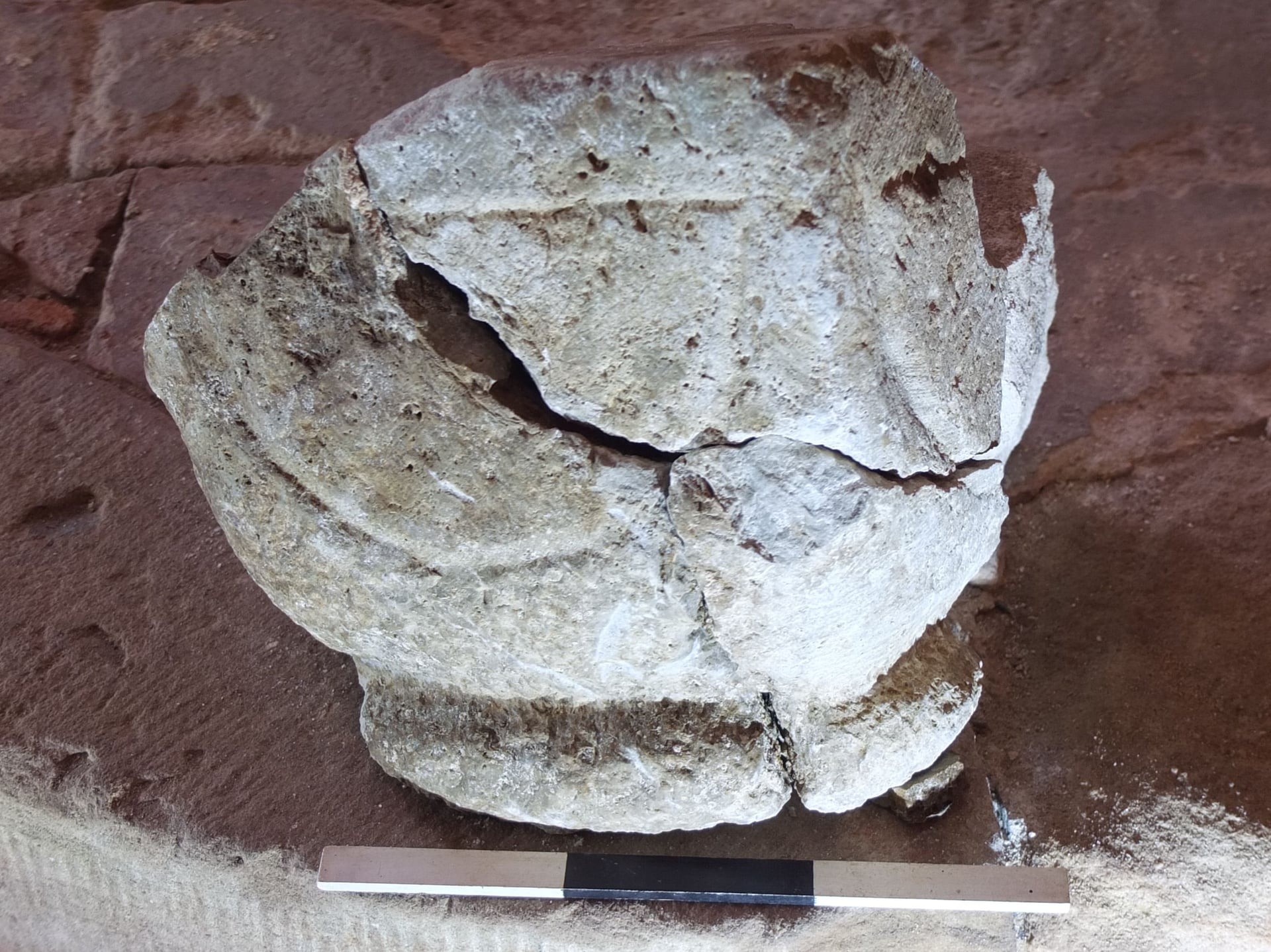 Fotoquelle: M.Bernast