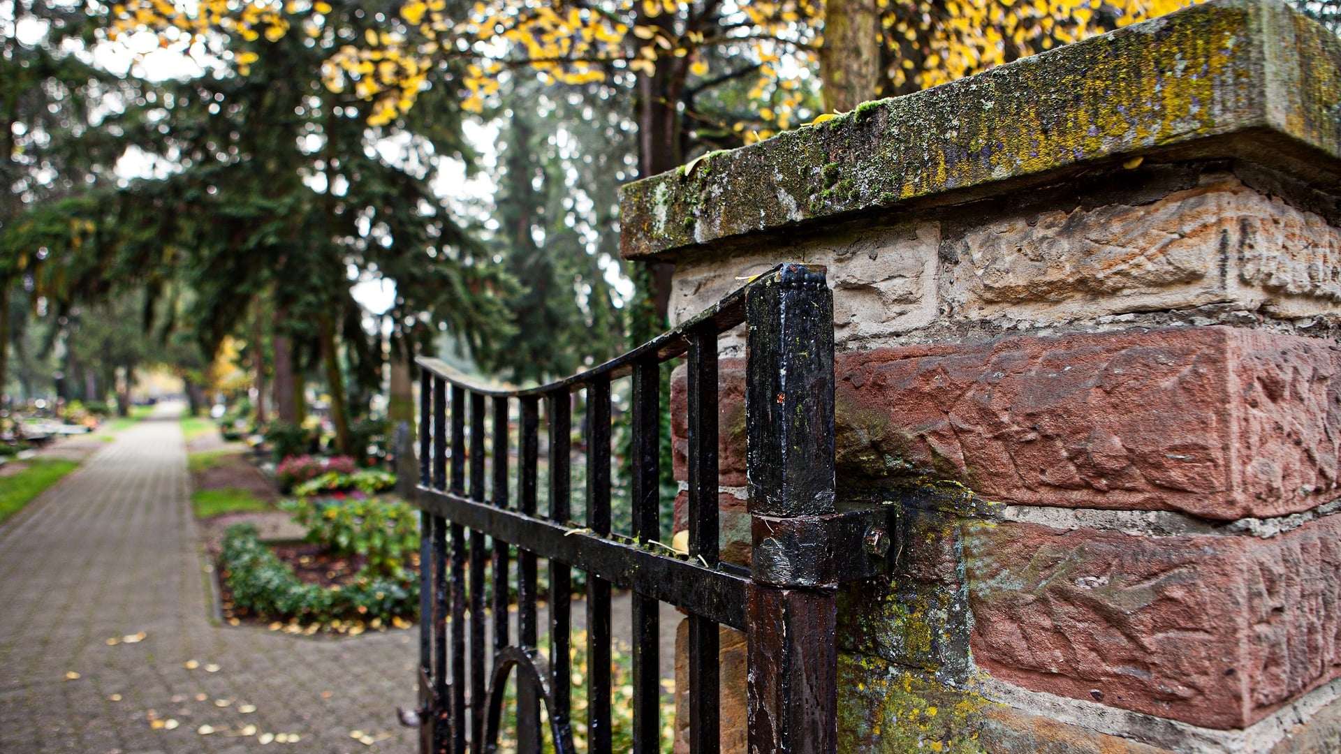 Fotoquelle: Stadt Germersheim/ Britta Hoff