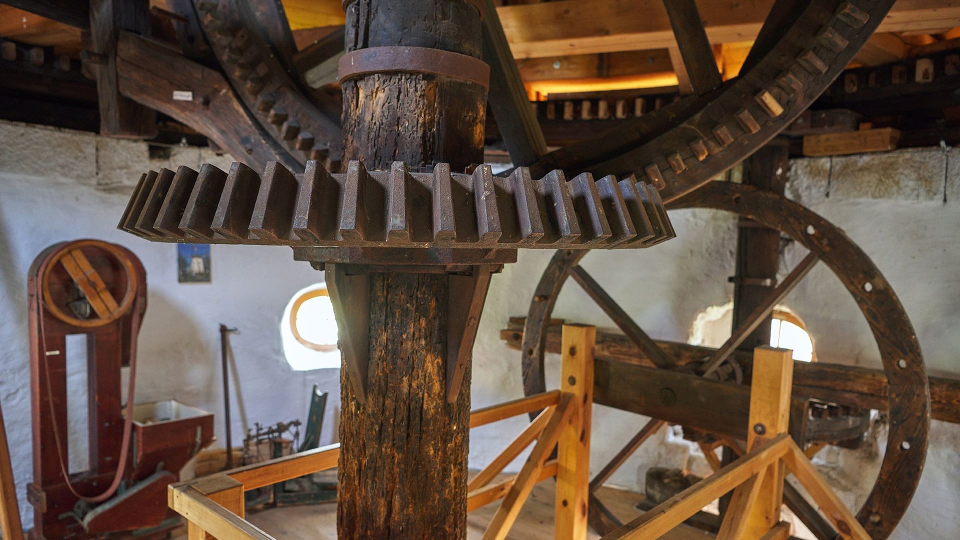 Fotoquelle: Thomas Lein