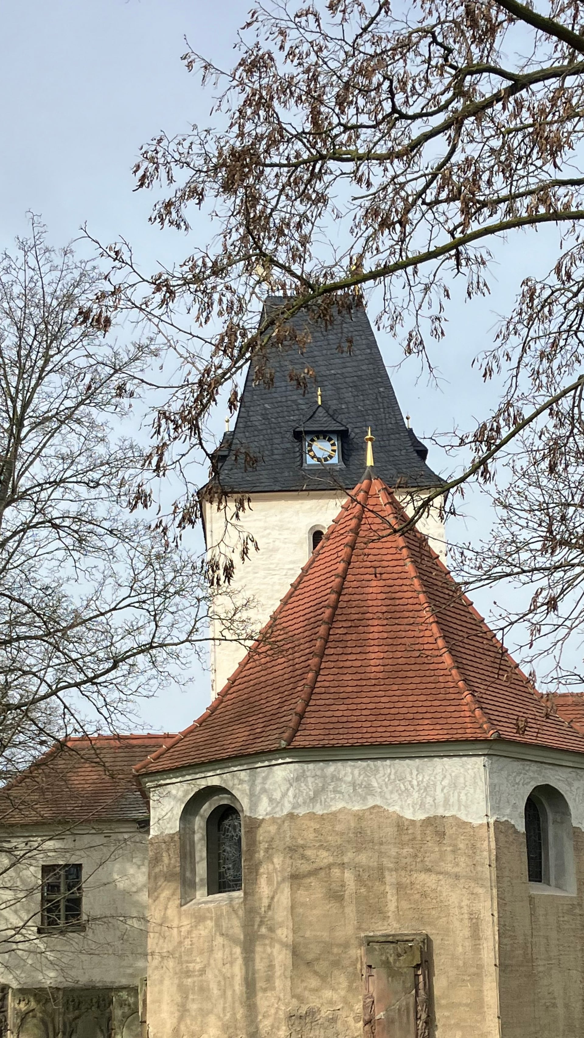 Fotoquelle: Kim Ludwig