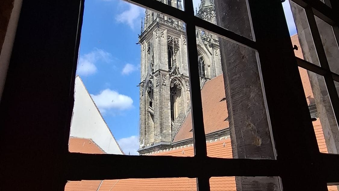 Fotoquelle: Dr. R. Plüschke