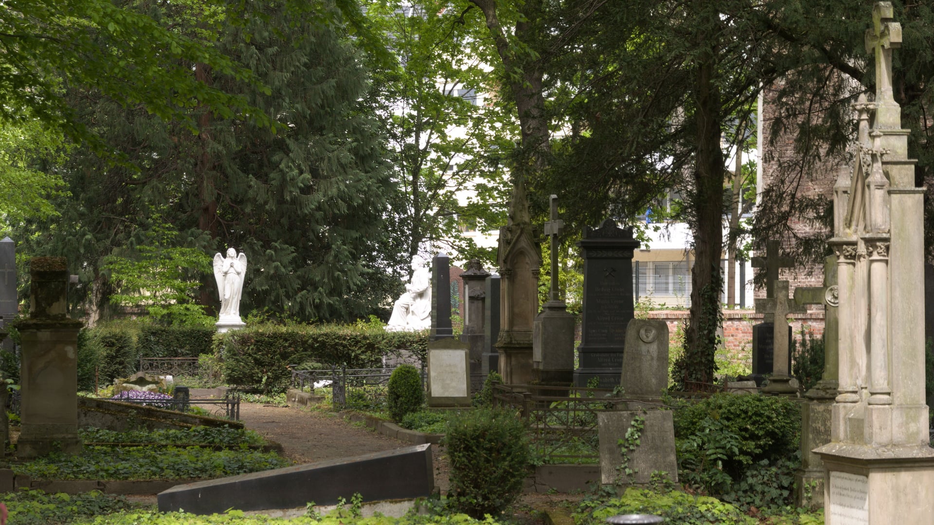 Fotoquelle: Hubert Meier