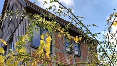 Fotoquelle: Julia Theek