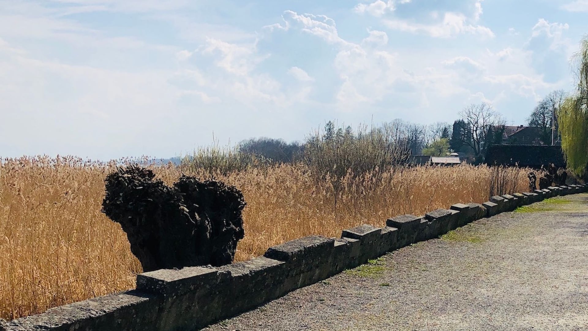 Fotoquelle: Leopold Ploner