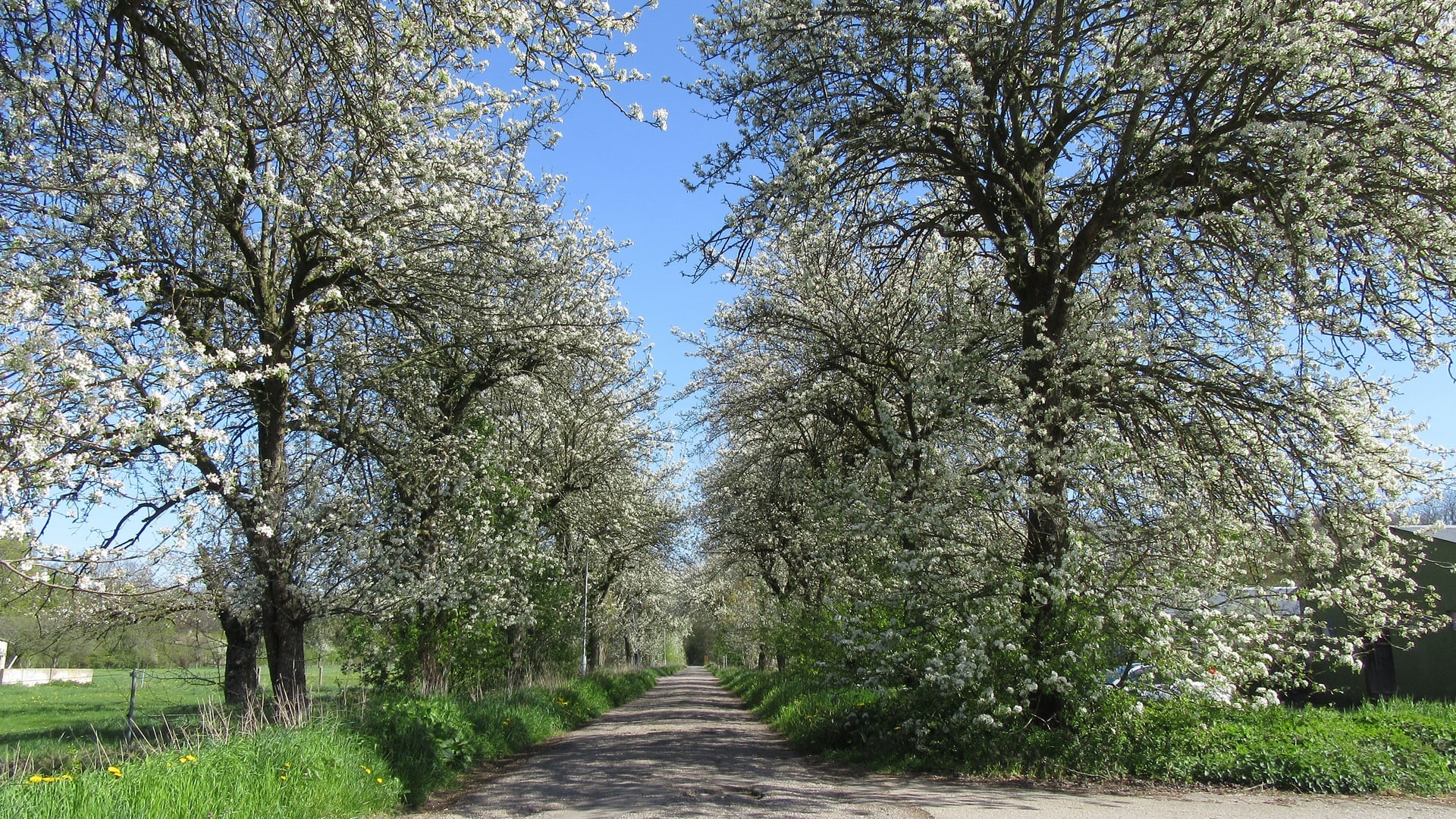 Fotoquelle: Dr. Karla Amm