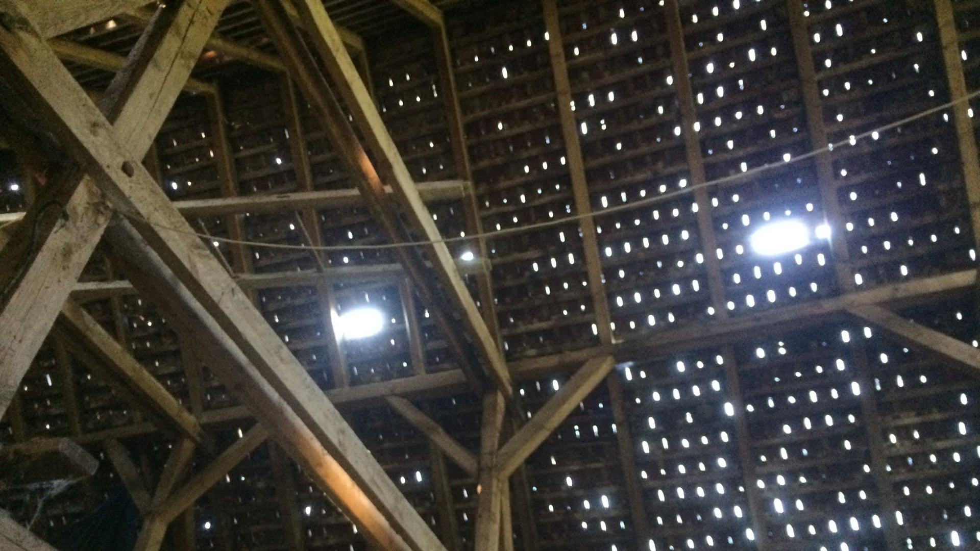 Fotoquelle: Gabriela Domnig