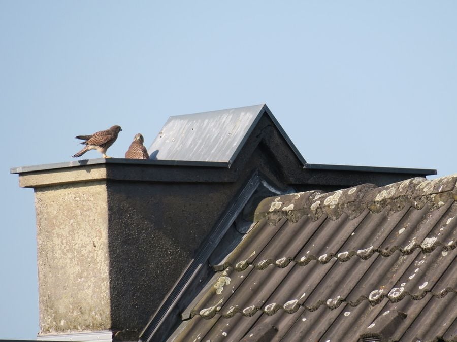 Fotoquelle: Stephen Reader