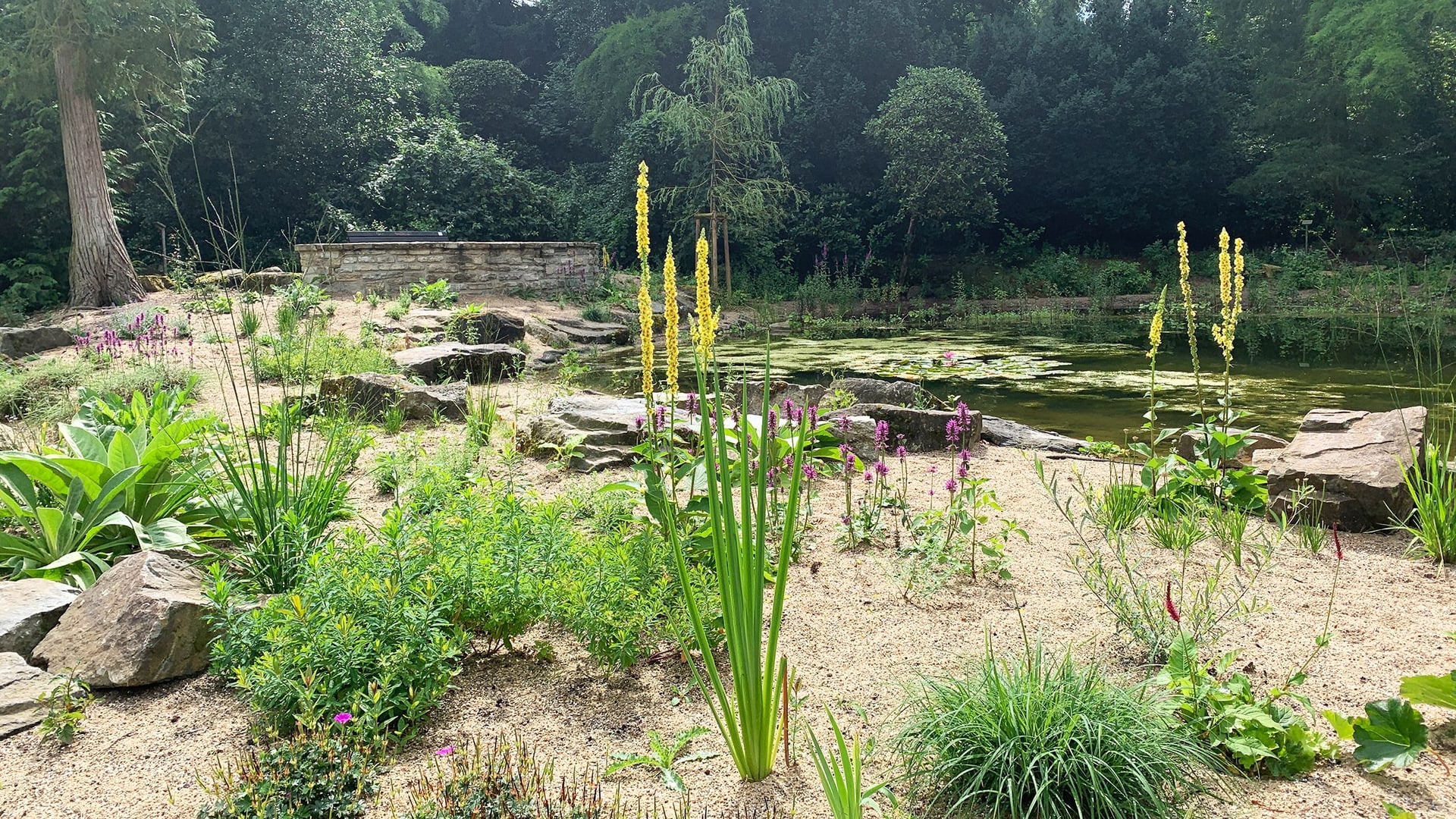 Fotoquelle: Stadt Osnabrück, Benedikt Kohn