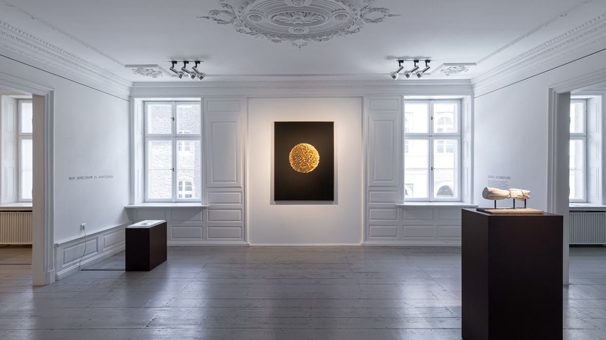 Fotoquelle: Foto Hanne Brandt, © Polnisches Institut Düsseldorf