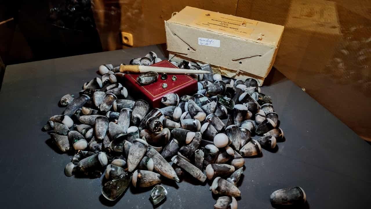 Fotoquelle: Kreismuseum Bitterfeld