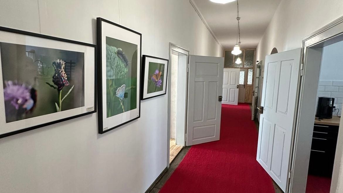 Fotoquelle: Königlich Sächsische Antonshütte e.V.