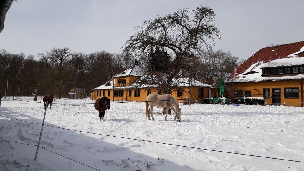Fotoquelle: dr. karla Amm