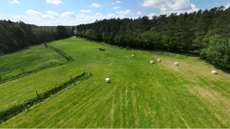 Fotoquelle: L. Luick, Universität Hamburg, Inst. für Ur- und Frühgeschichte