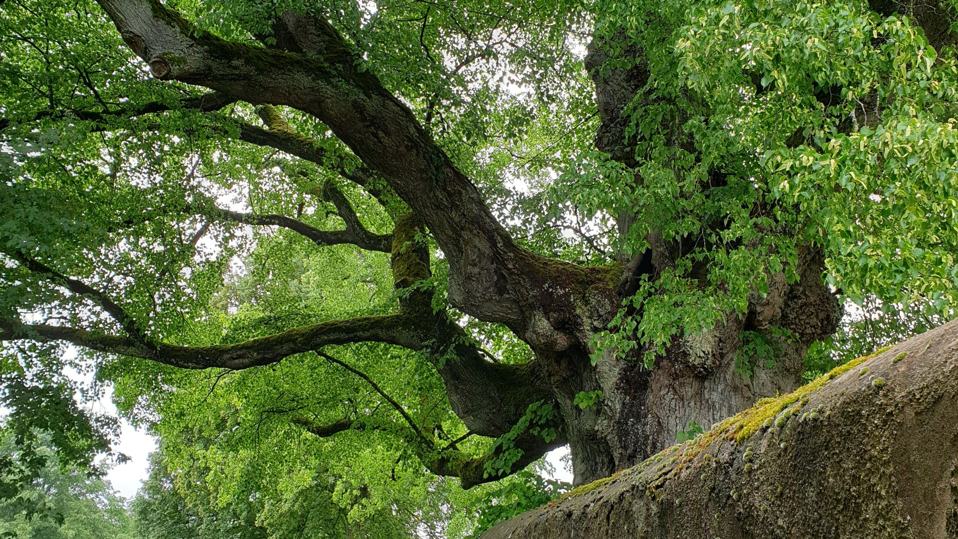 Fotoquelle: Ruxandra Gericke