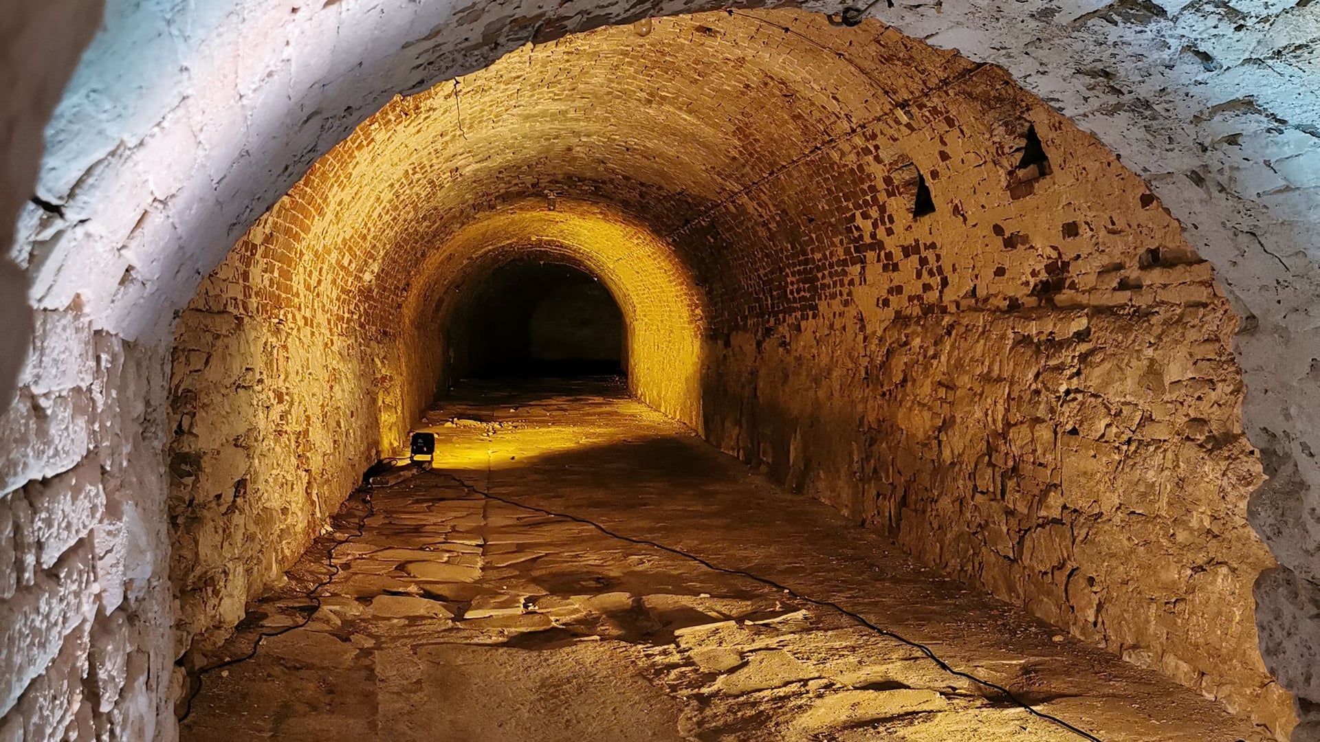 Fotoquelle: Tonia Lohr