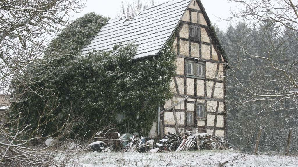 Fotoquelle: Birgit Kellers