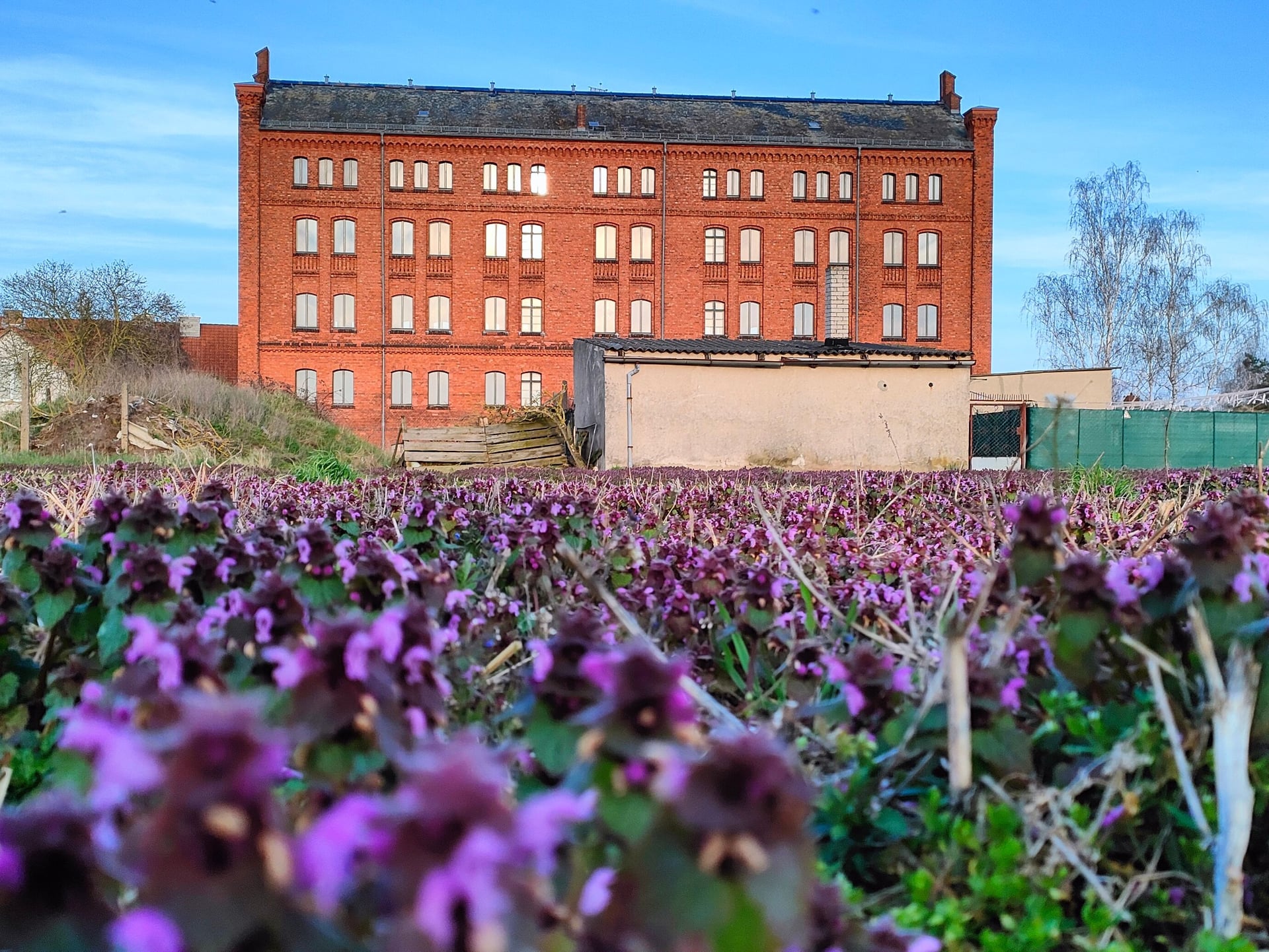 Fotoquelle: Maxi Thiele