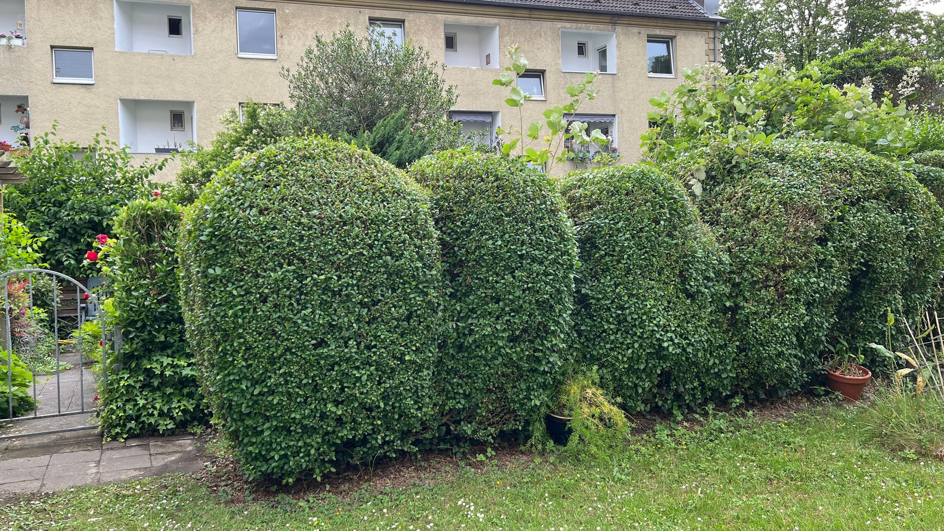 Fotoquelle: Stephen Reader