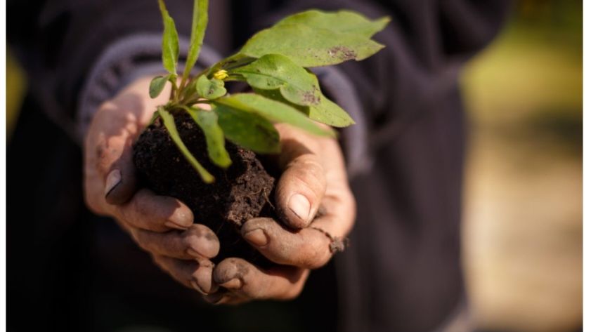 Fotoquelle: Striesener Friedhof / J. Tobis