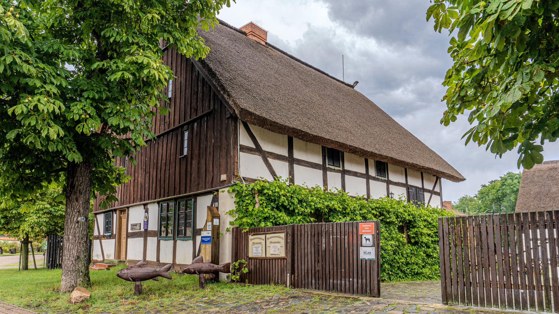 Fotoquelle: Anatolii Kurlaev