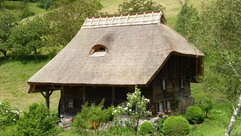 Fotoquelle: Maria Gutjahr