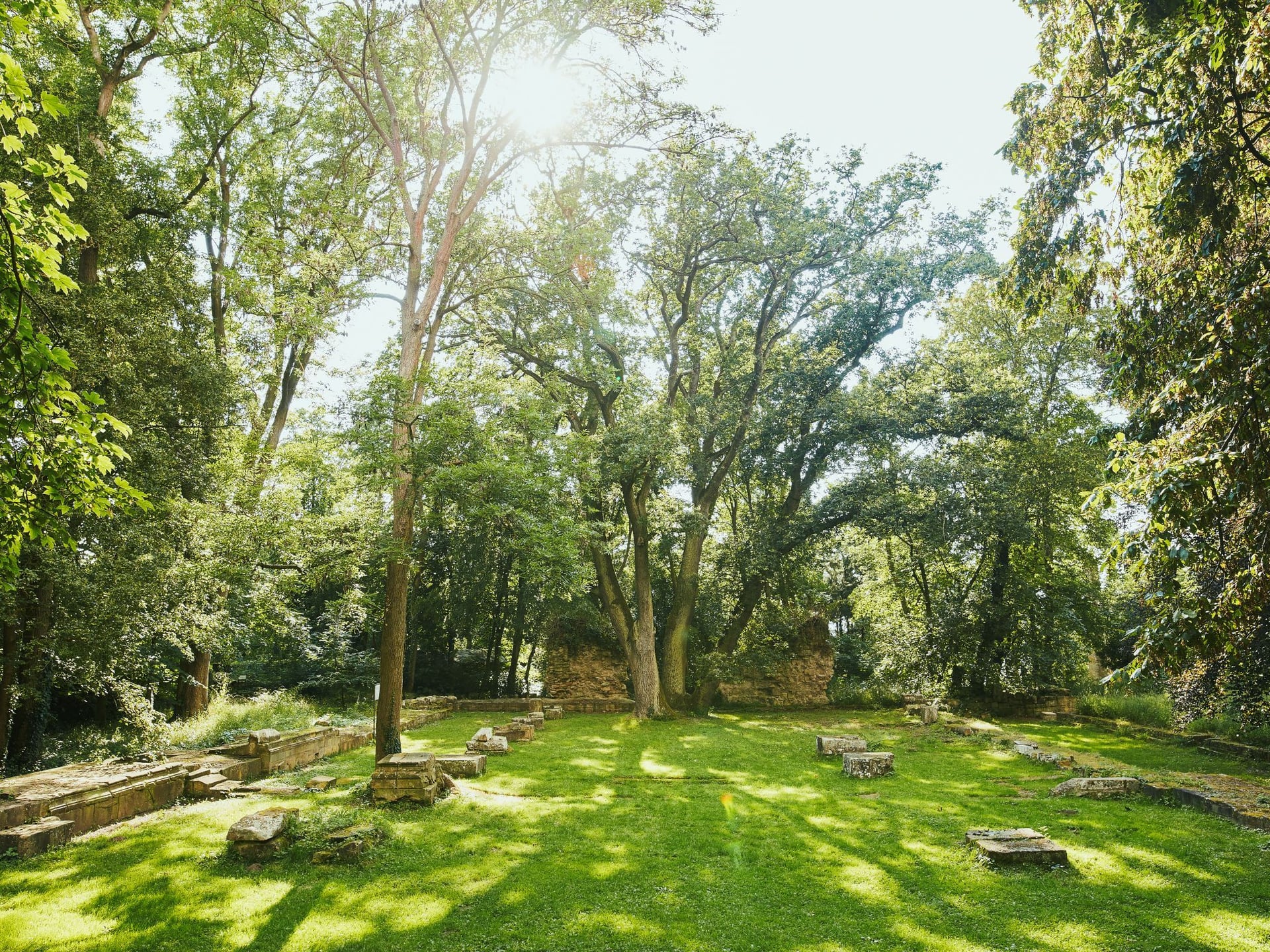 Fotoquelle: Peter Bender