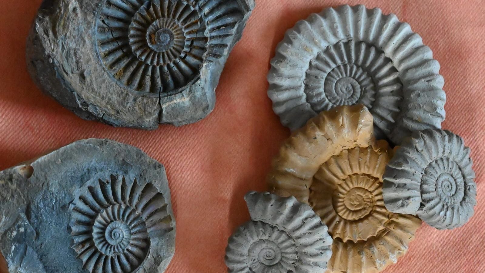 Fotoquelle: Heike Rosener