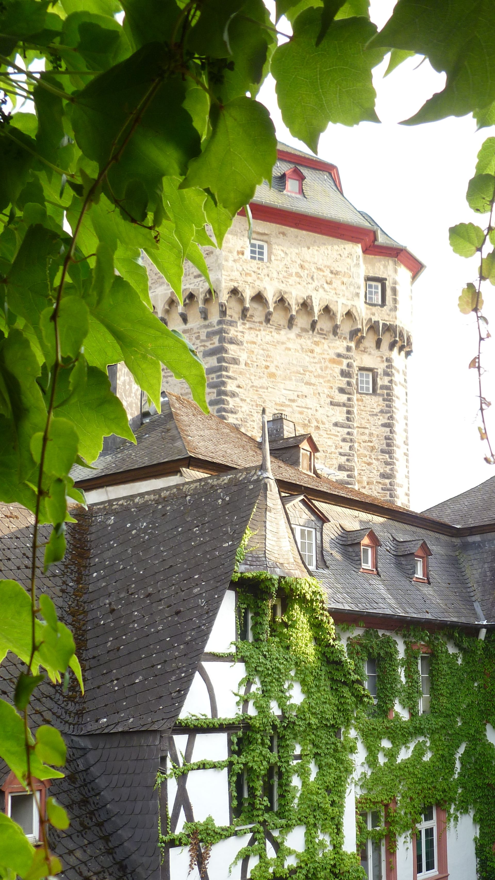 Fotoquelle: Michael Eisenbarth