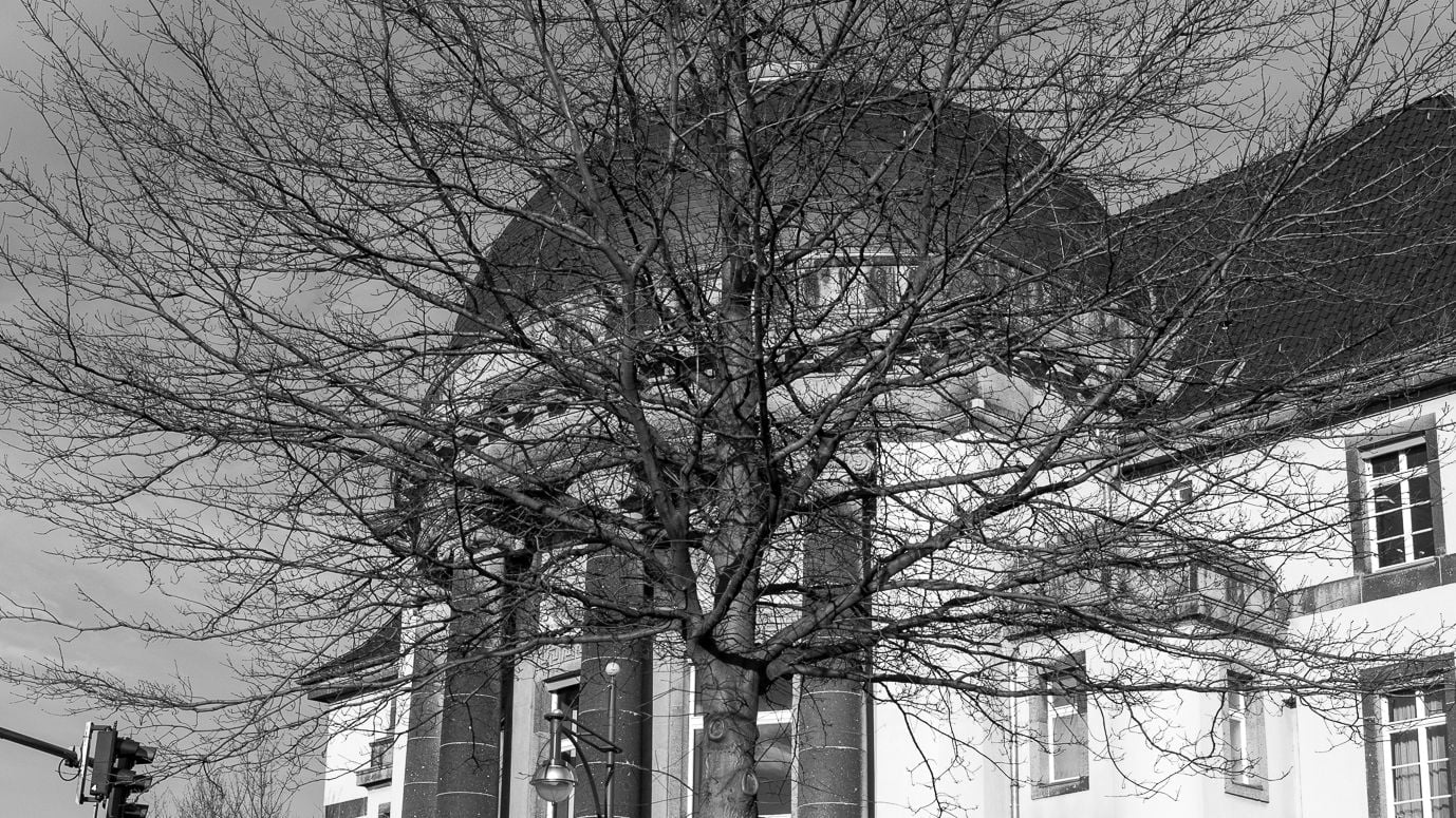 Fotoquelle: E. Streyl