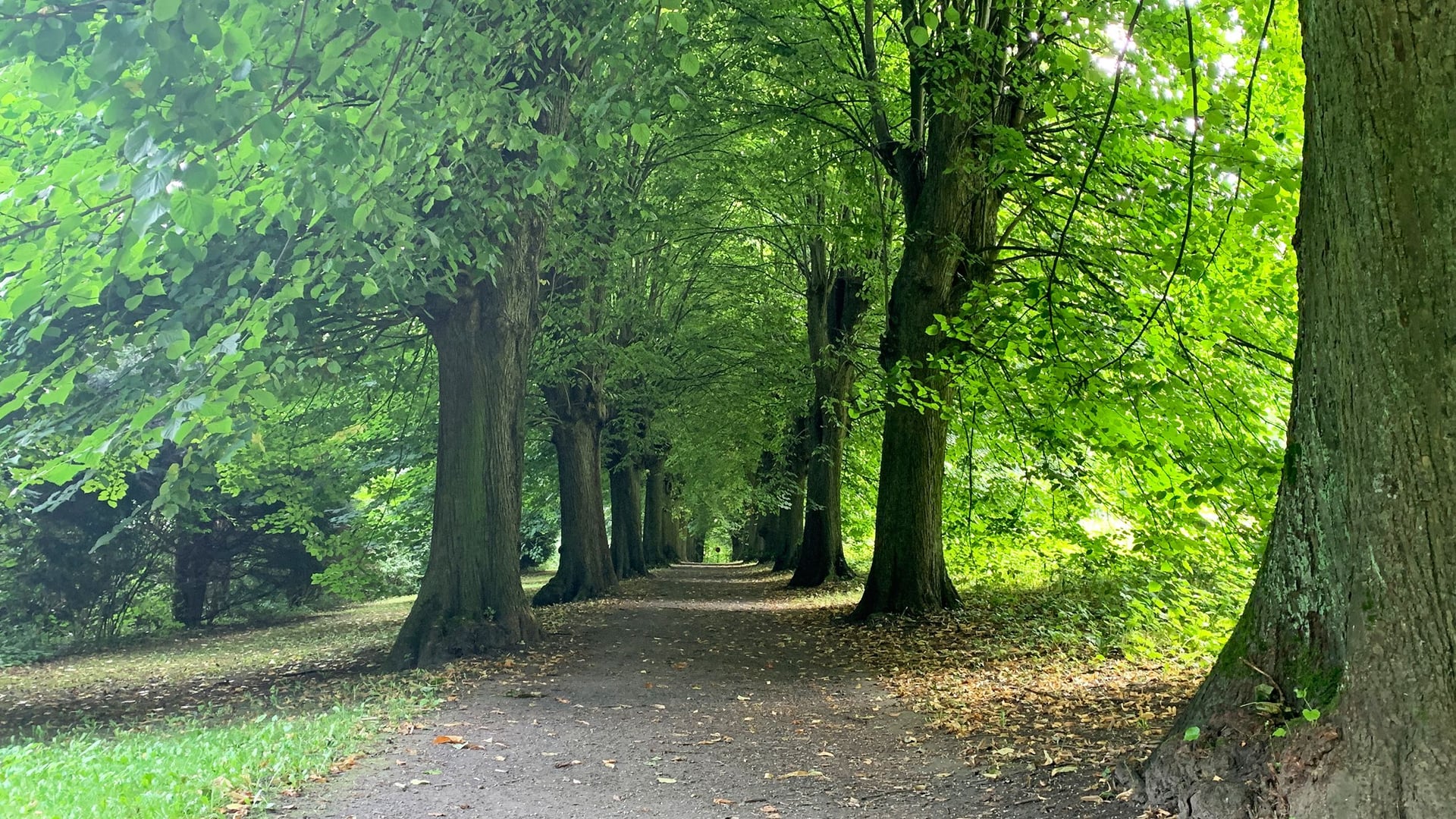 Fotoquelle: Stadt Osnabrück, Benedikt Kohn