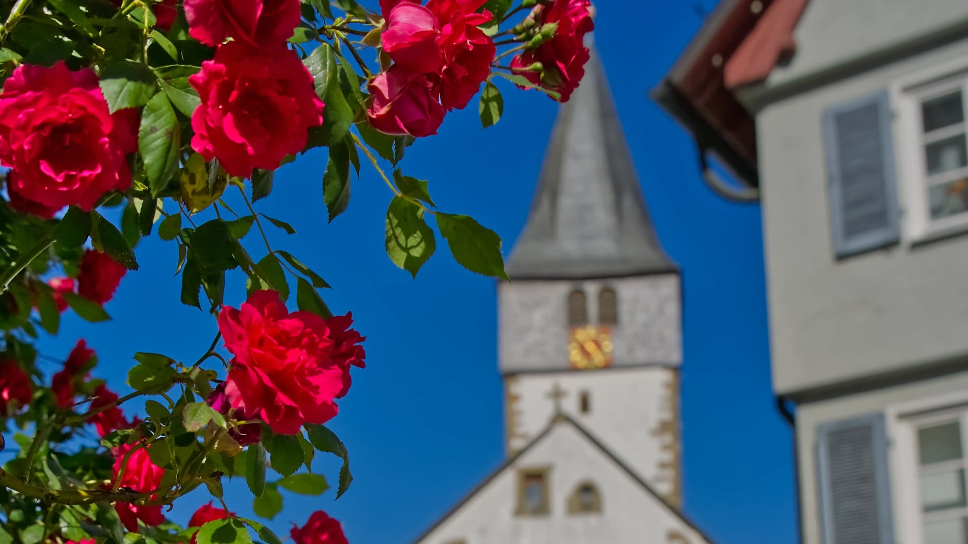 Fotoquelle: Foto Hannes Keller