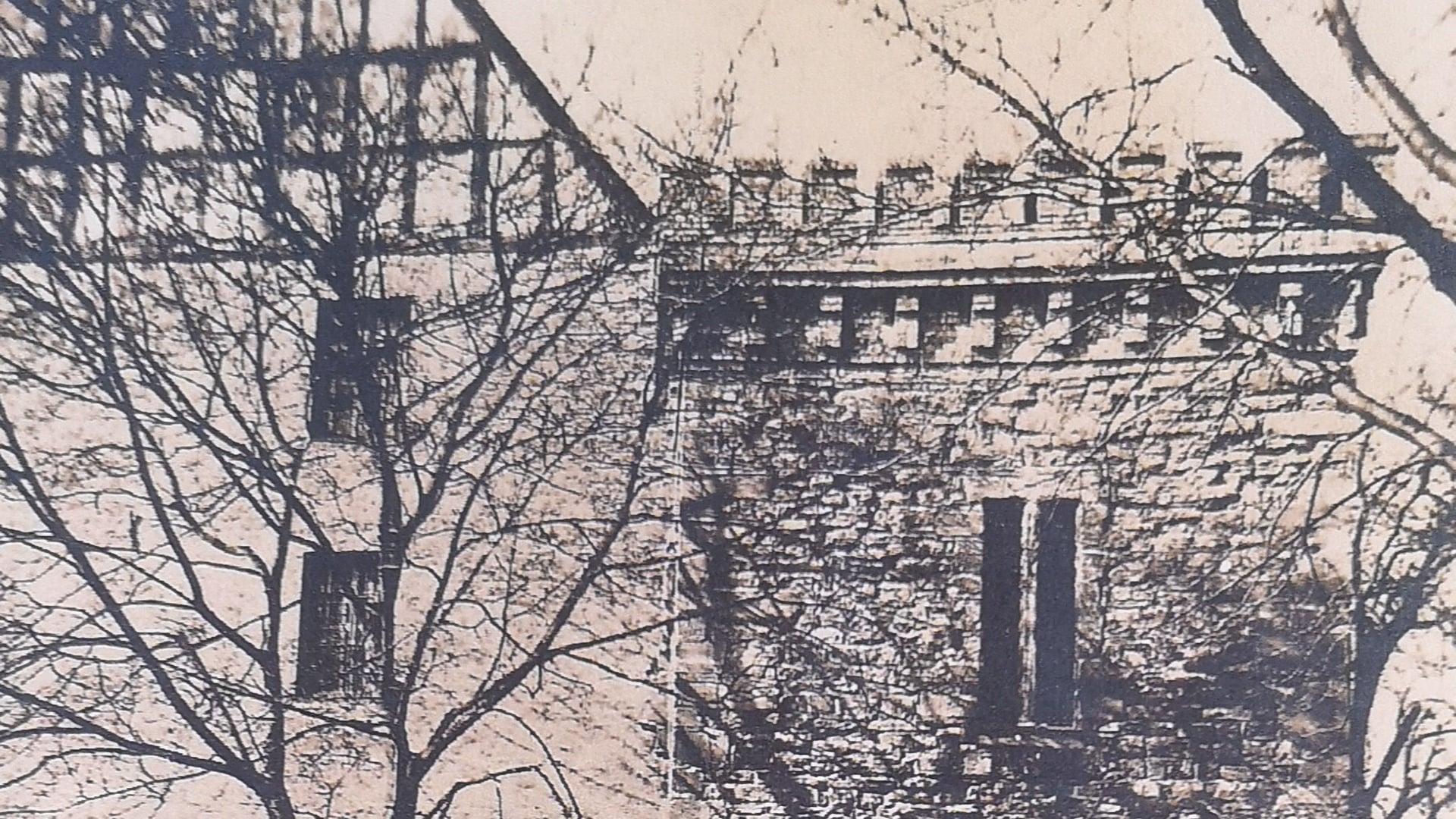 Fotoquelle: Archiv Noltze