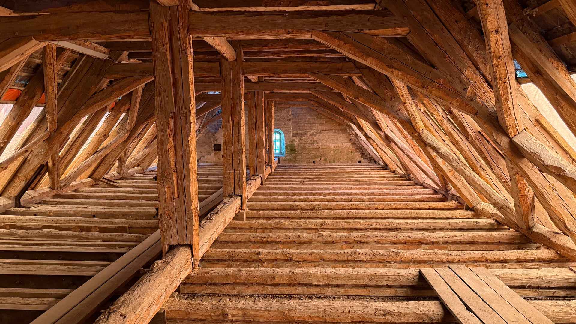 Fotoquelle: Dr. Nils Lange