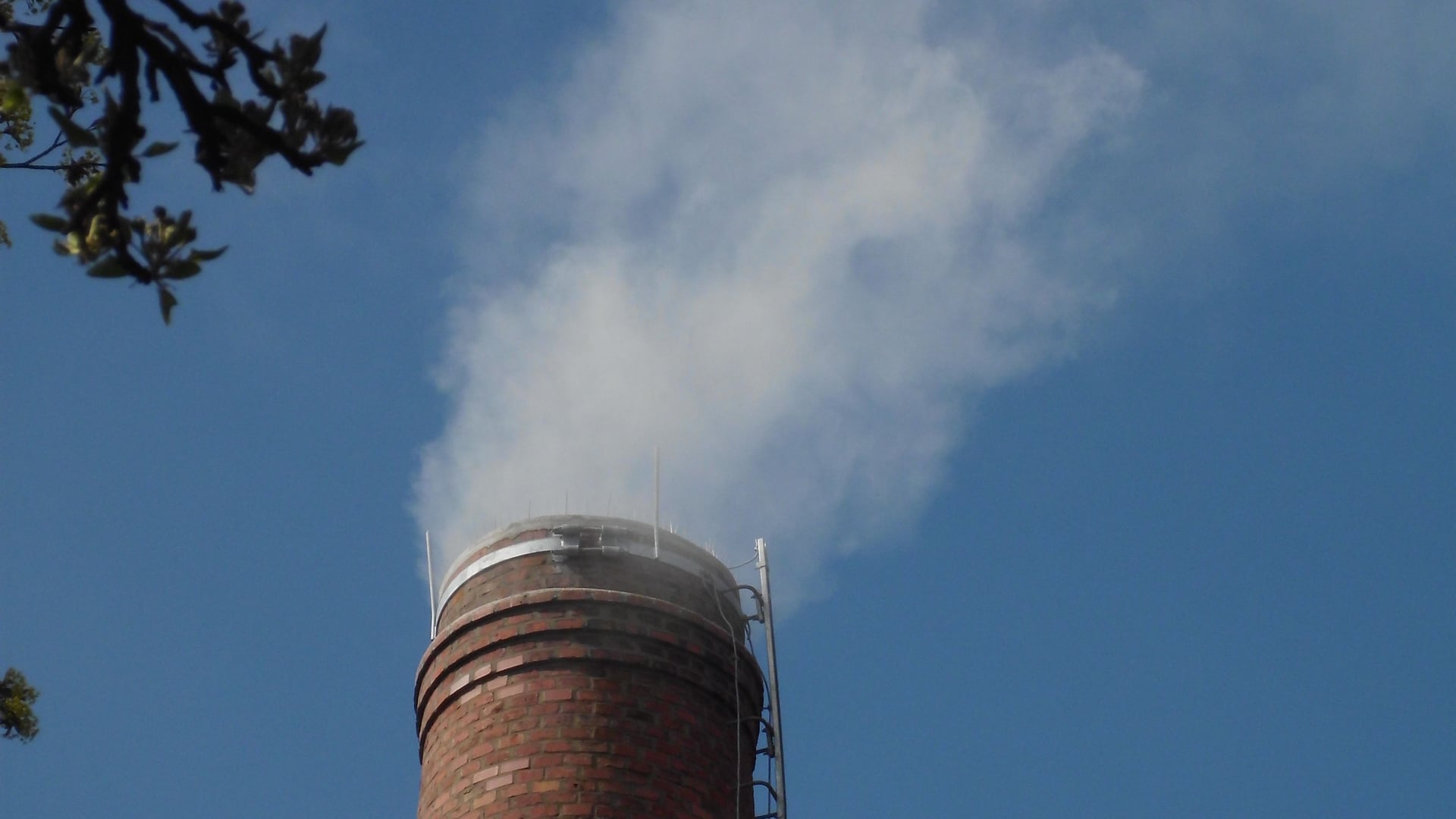 Fotoquelle: Alte Fischräucherei Eckernförde e.V.