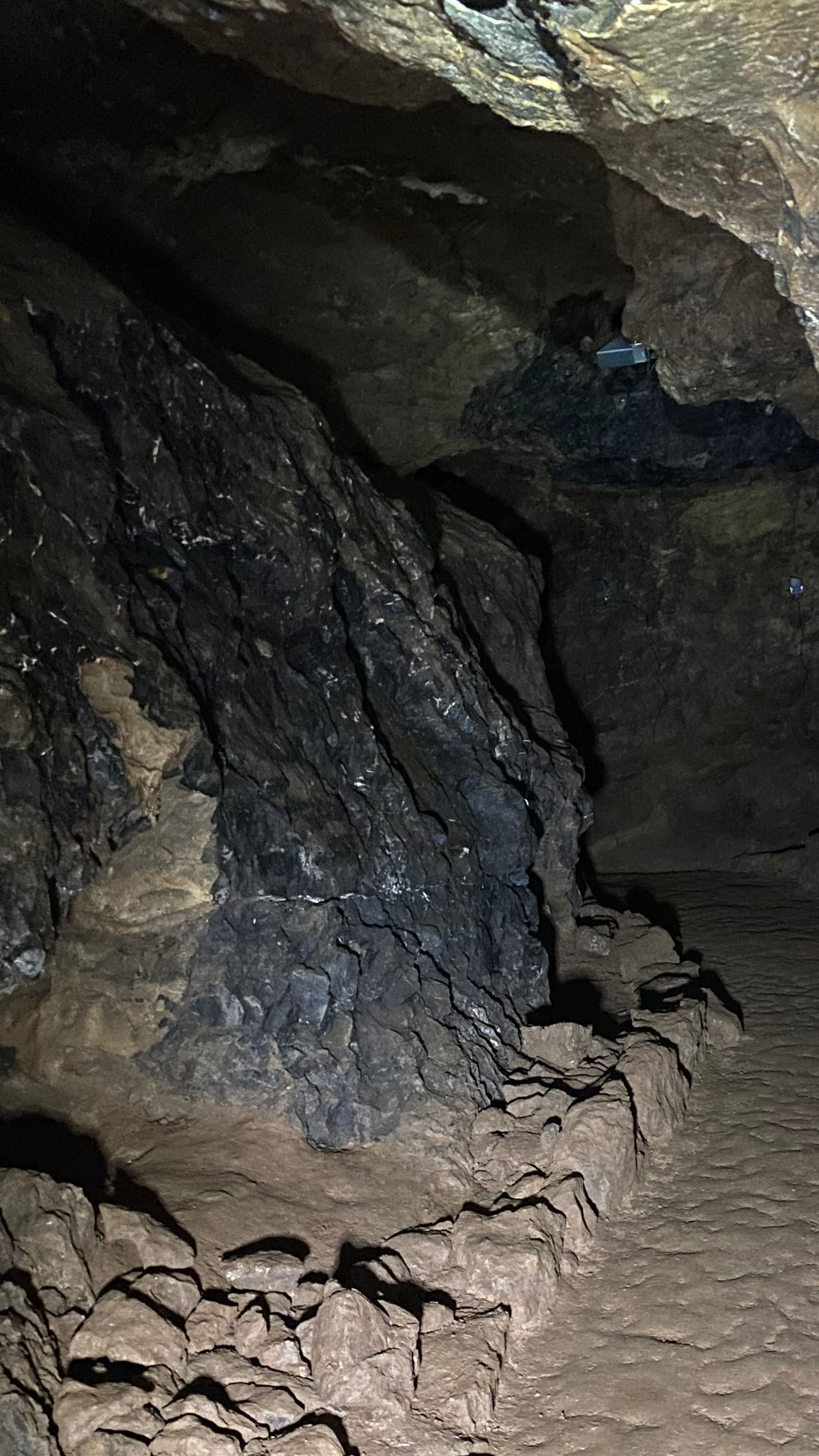 Fotoquelle: Sarah Droska